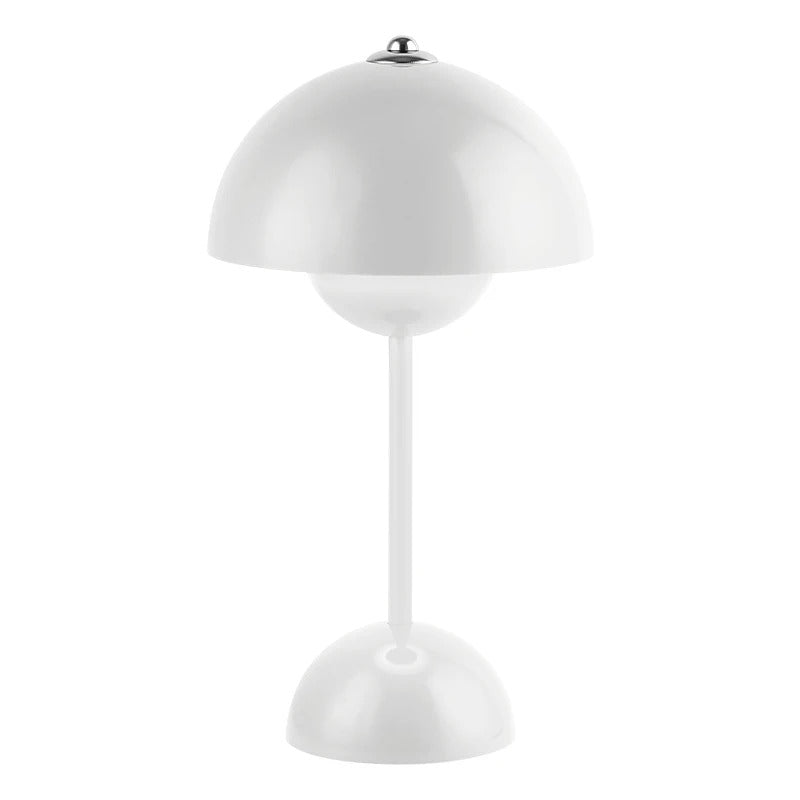 Modern Portable USB Desk Lamp
